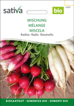 BIO Saatgut Radies Mischung