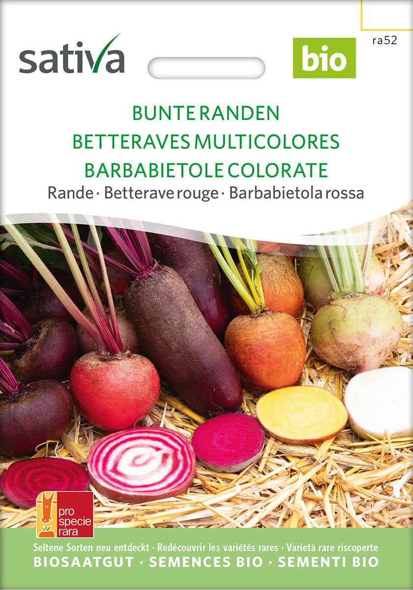 BIO Saatgut Bunte Bete Mischung – Biogartenladen