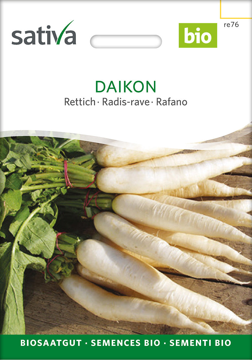 BIO Saatgut Rettich Daikon – Biogartenladen