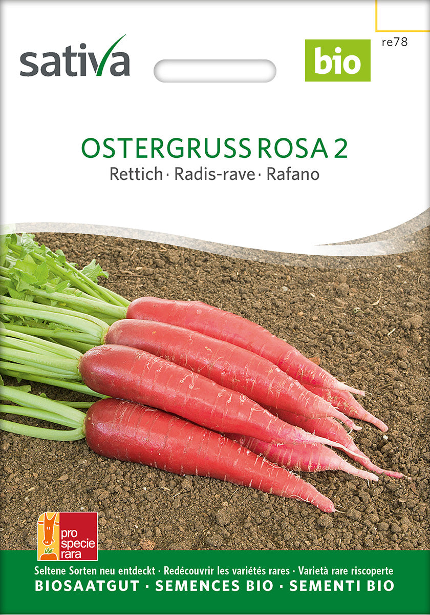 BIO Saatgut Rettich rosa Ostergruß 2
