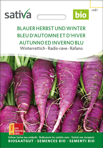 BIO Saatgut Herbstrettich Blauer Herbst und Winter