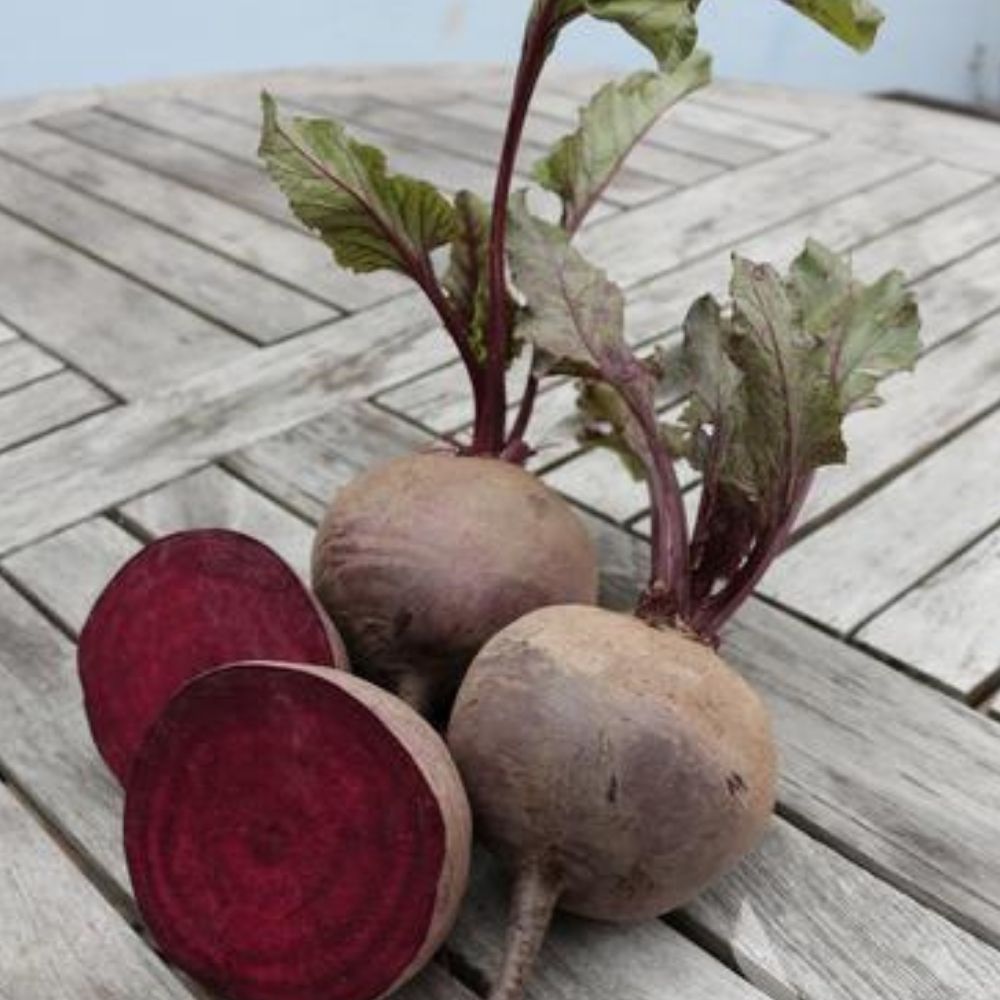 BIO Saatgut Rote Bete Karmazyn – Biogartenladen