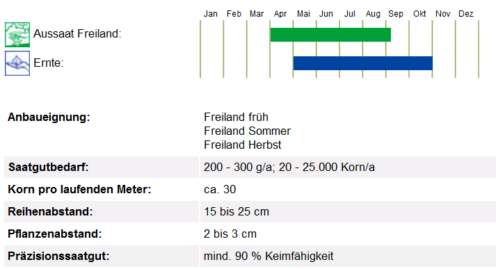 BIO Saatgut Radies Rudi, Aussaatanleitung
