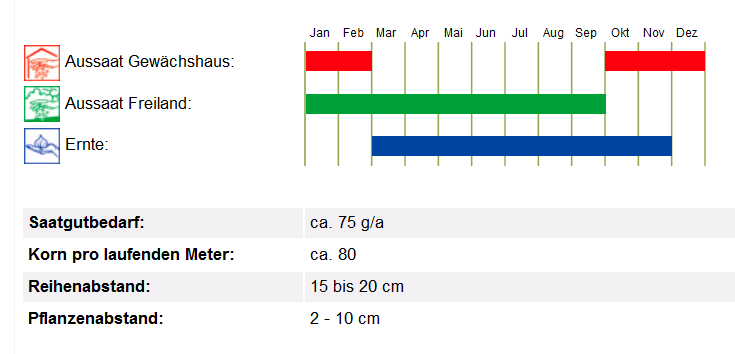 BIO Saatgut Salatrauke Rucola, Kulturanleitung