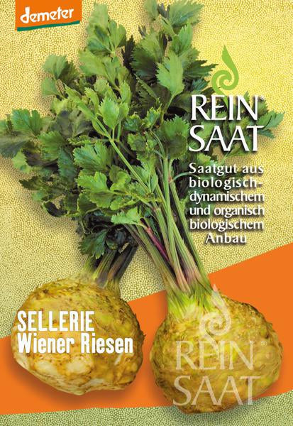 BIO Saatgut Knollensellerie Wiener Riesen