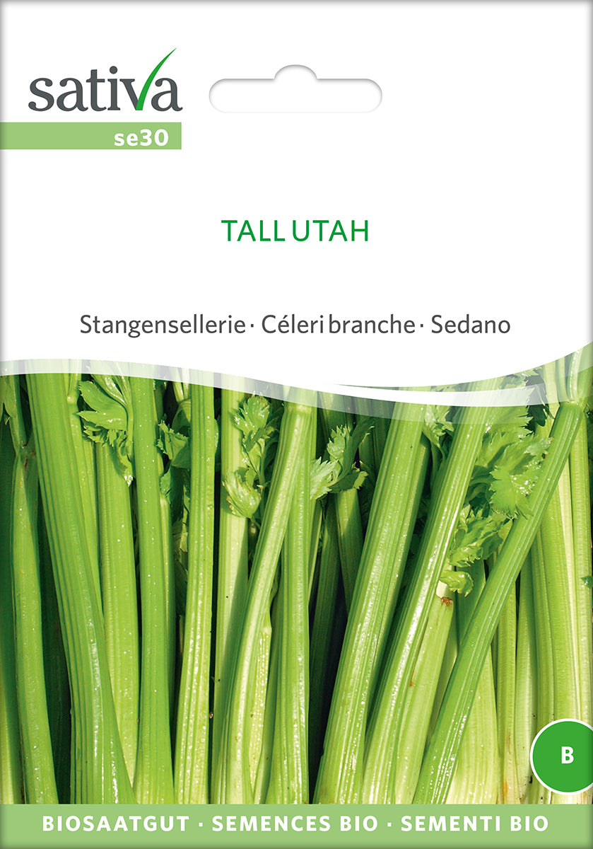 BIO Saatgut Stangensellerie Tall Utah