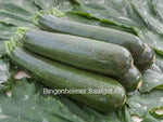 Zucchini Serafina