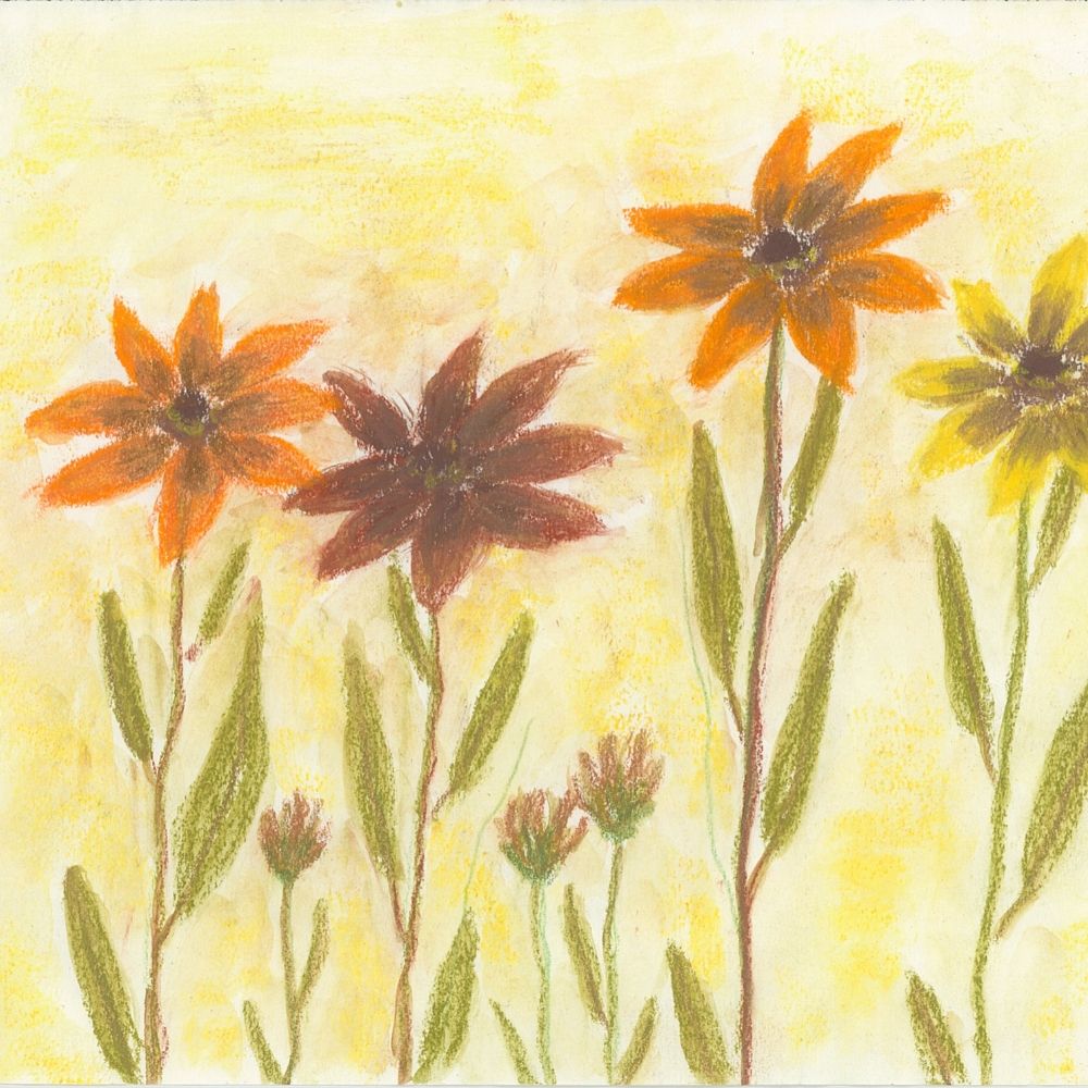 Geschenkgutschein Sonnenhut von biogartenladen.de mit liebevoll handgemaltem Gartenmotiv – perfektes Geschenk für Natur- und Gartenfreunde