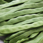 BIO Saatgut Stangenbohne Weiße aus Italien