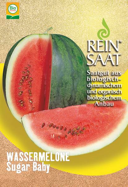 BIO Saatgut Wassermelone Sugar Baby frühreif & süß – Biogartenladen