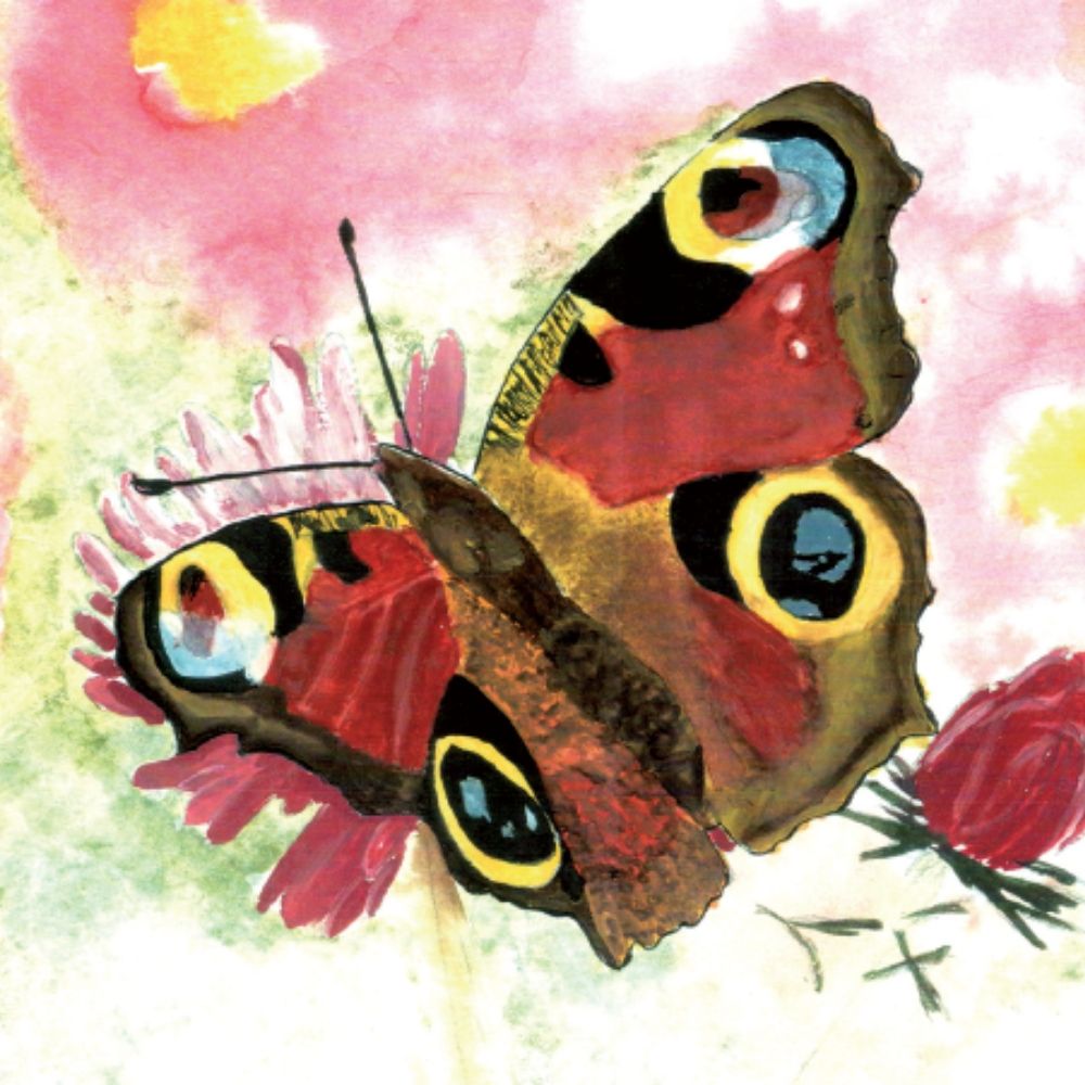 Geschenkgutschein Tagpfauenauge von biogartenladen.de mit handgemaltem Schmetterlingsmotiv – ideales Geschenk für naturnahe Gartenfreunde