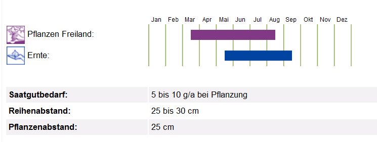 BIO Saatgut Pflücksalat Till, Kulturanleitung