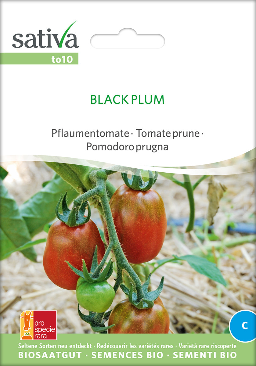 BIO Saatgut Tomate black plum