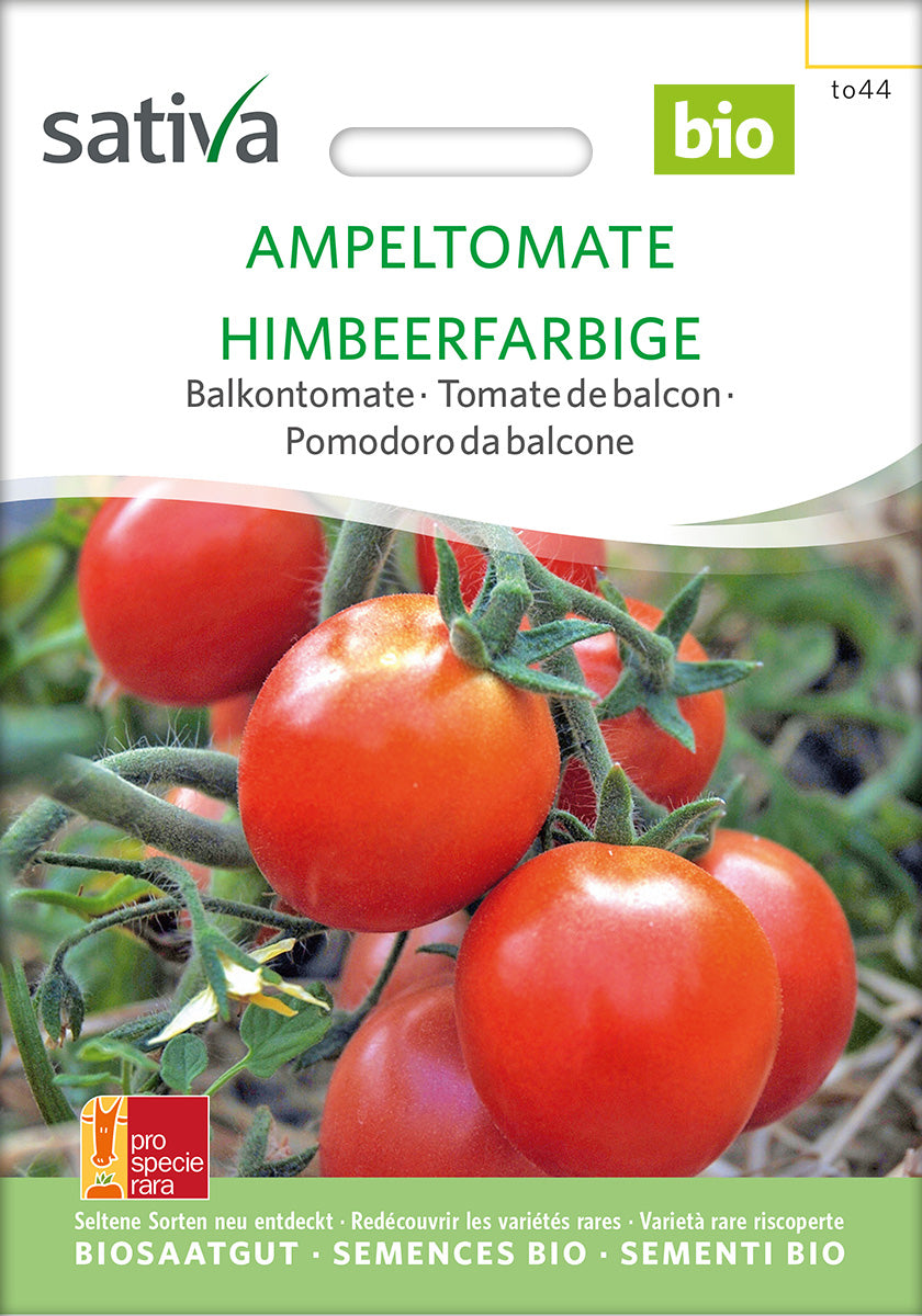 BIO Saatgut Balkontomate Himbeerfarbige Ampeltomate