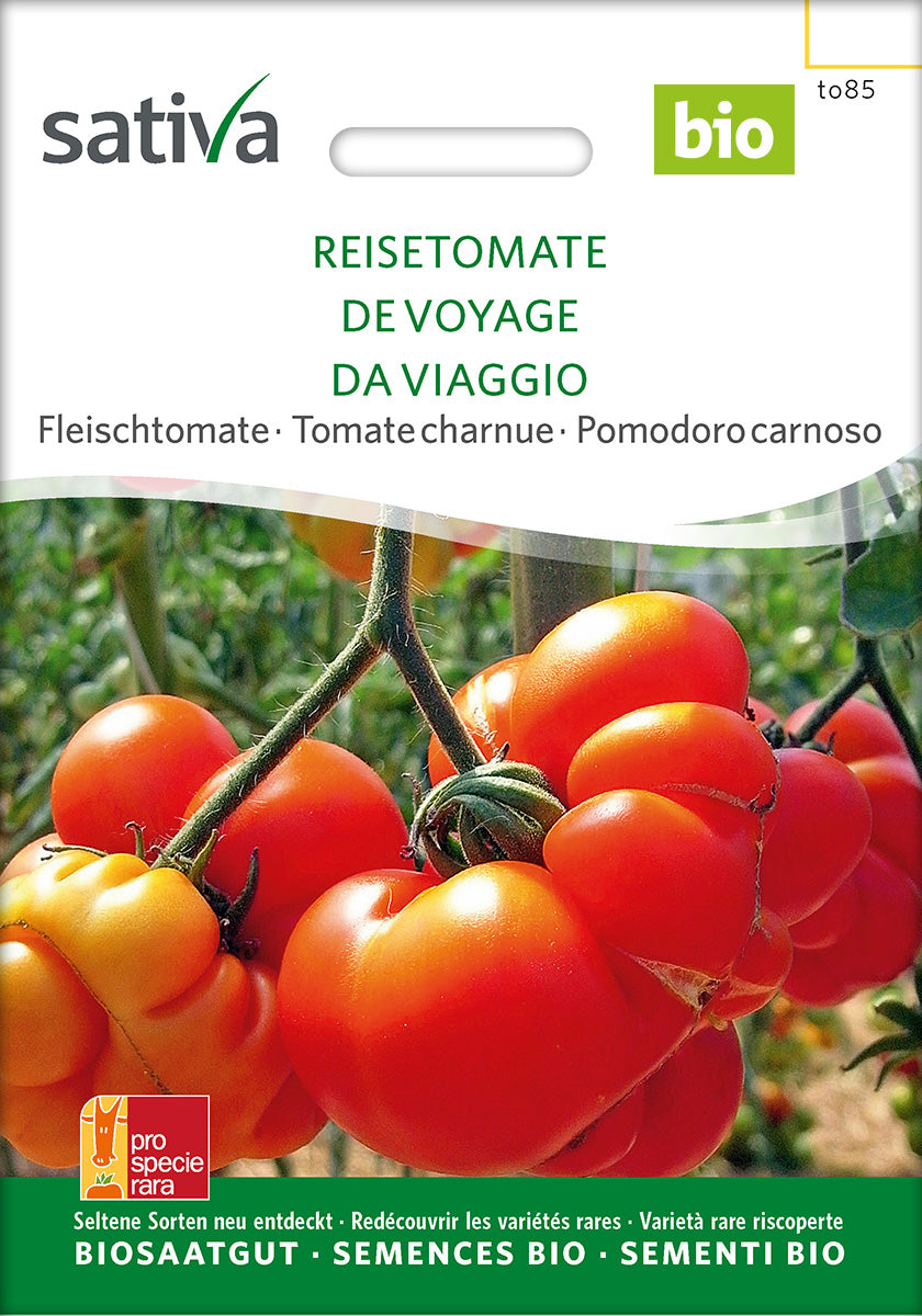 BIO Saatgut Reisetomate