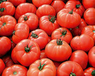 Tomate Marmande rot
