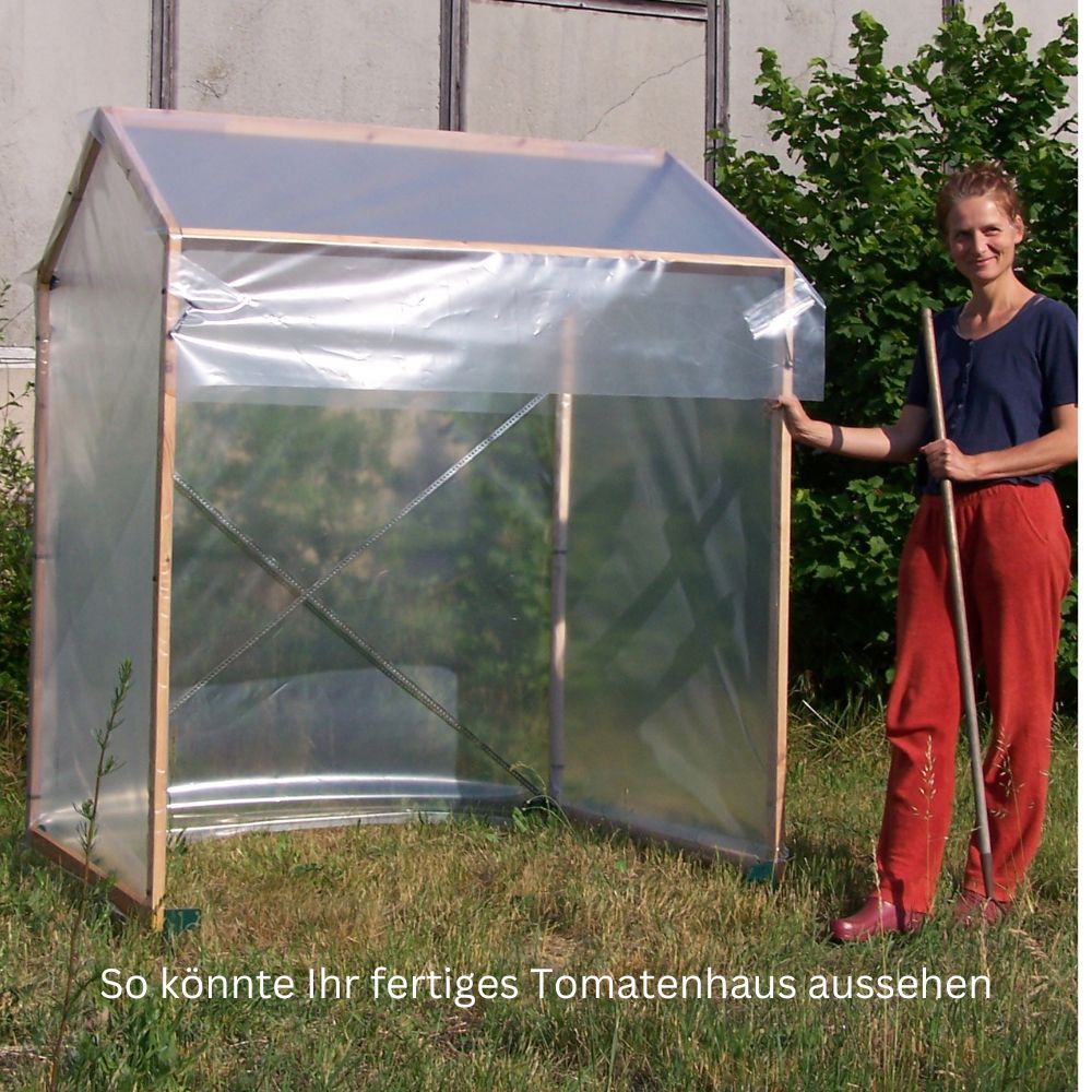 Aufgebautes Tomatenhaus-Gestell aus Lärchenholz im Garten, ohne Folie u. Metallteile, zeigt stabile Konstruktion für 5–6 Tomatenpflanzen mit robustem Rahmen und Querstreben