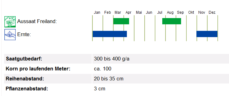 BIO Saatgut Spinat Verdil, bio-dyn Züchtung, Kulturanleitung