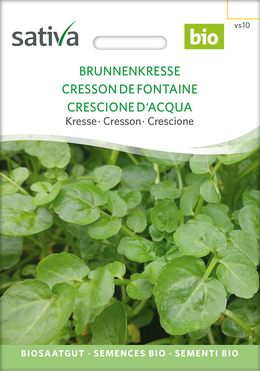 BIO Saatgut Brunnenkresse – Biogartenladen