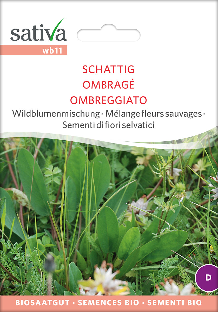 BIO Saatgut Wildblumenmischung Schattig – Biogartenladen