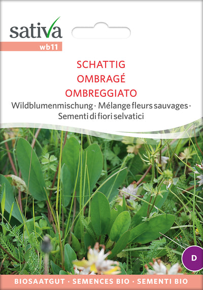 BIO Saatgut Wildblumenmischung Schattig