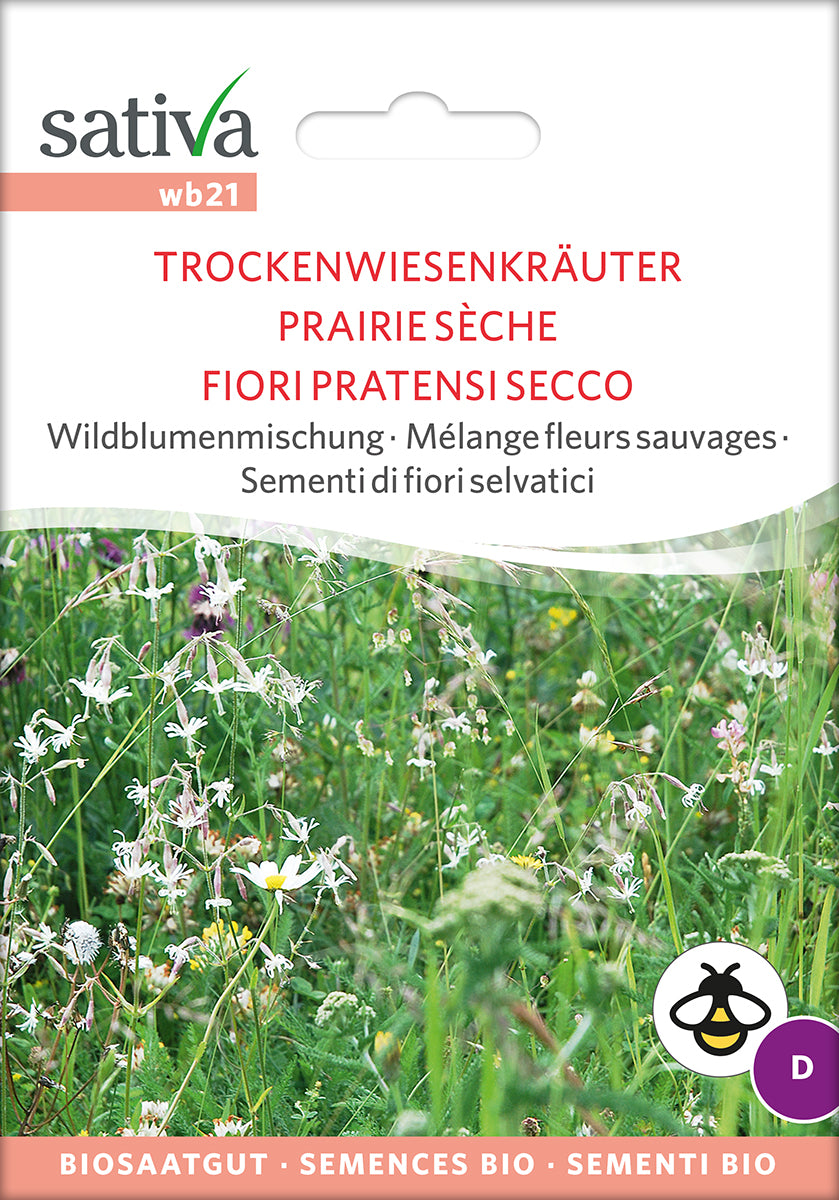 BIO Saatgut Wildblumenmischung Trockenwiesenkräuter – Biogartenladen