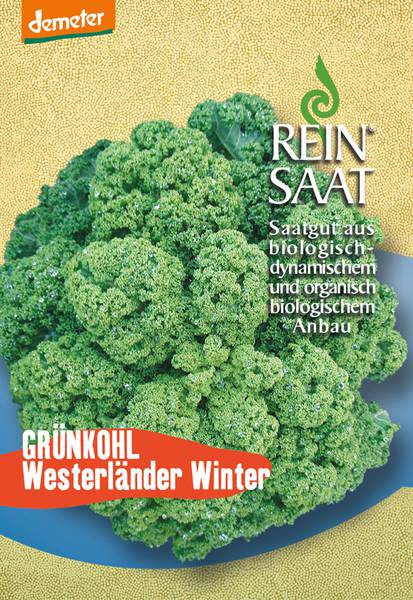 BIO Saatgut Grünkohl Westerländer Winter