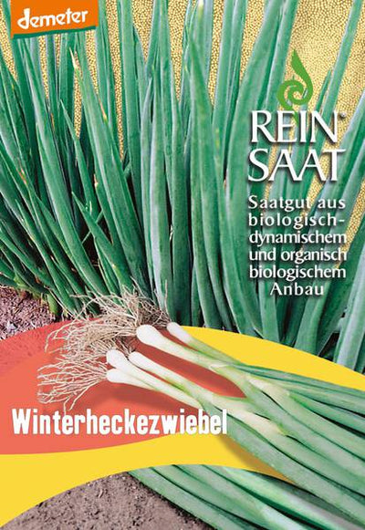 BIO Saatgut Winterheckenzwiebel Cosmo
