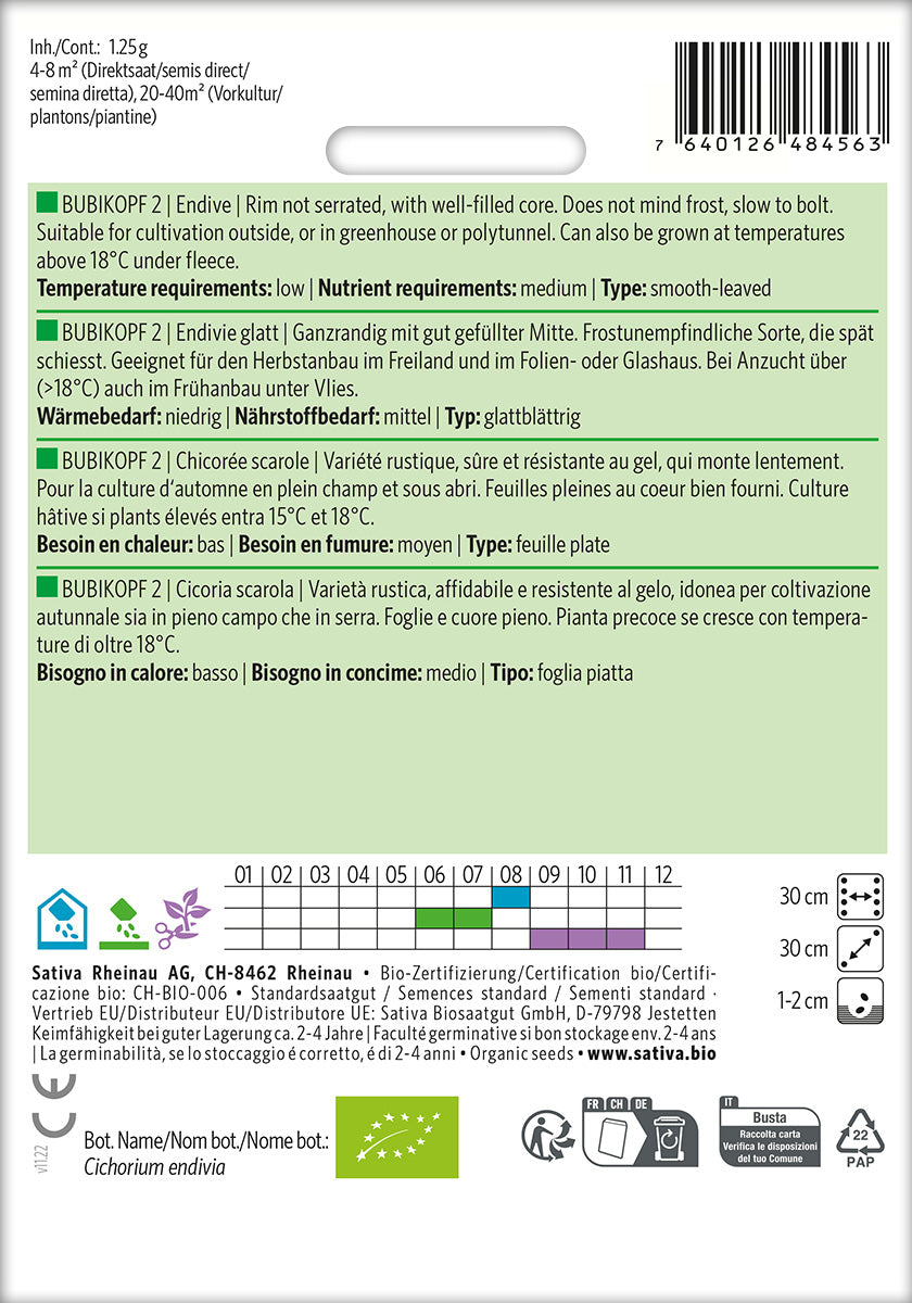 BIO Saatgut Endivie glatt Bubikopf Kulturanleitung