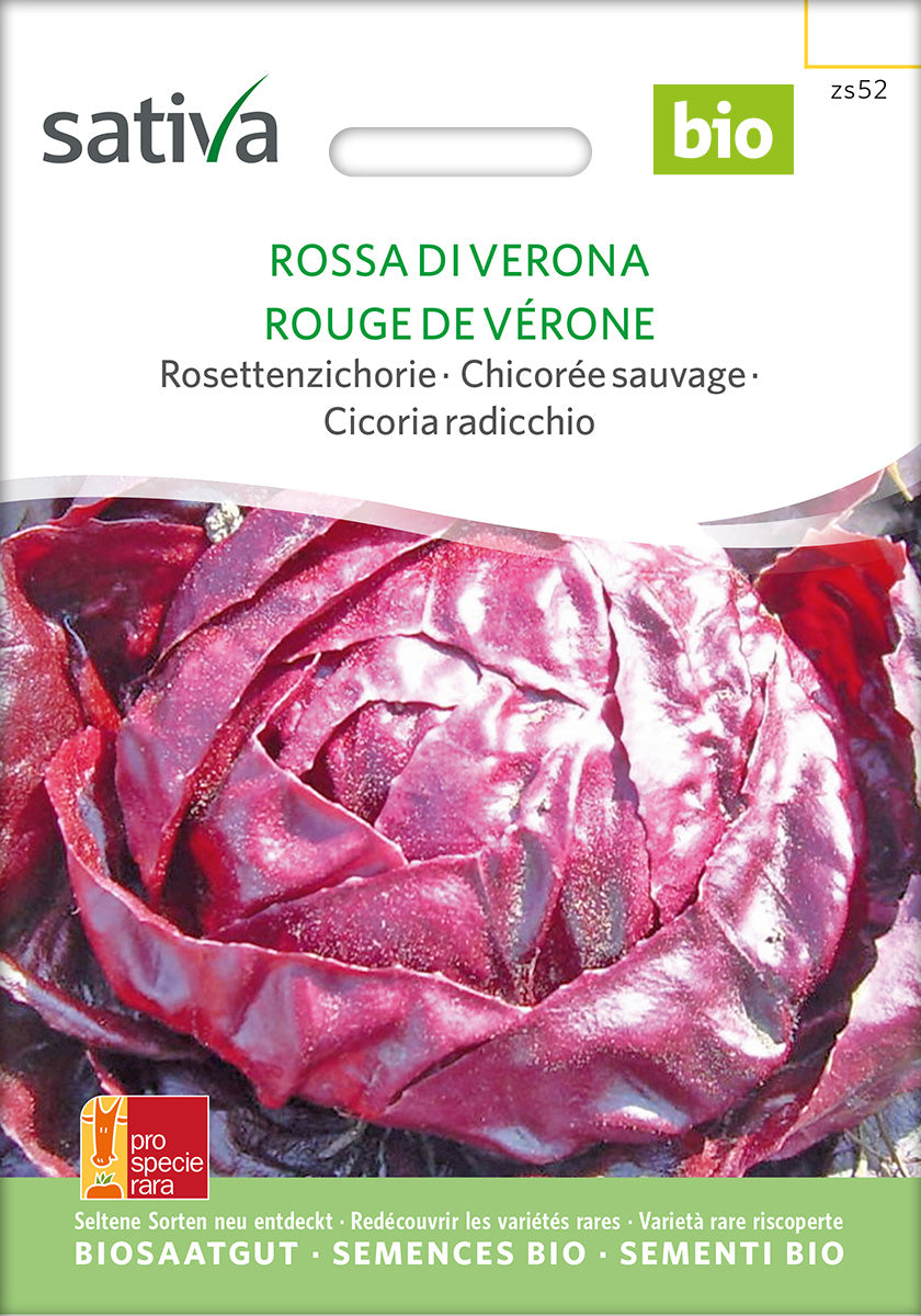 BIO Saatgut Radicchio Roter von Verona – Biogartenladen