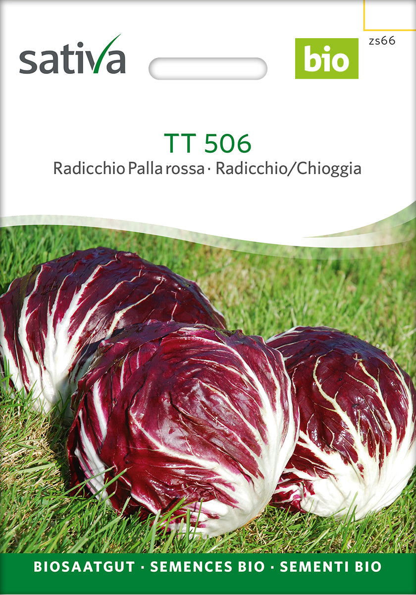 Radicchio Palla Rossa TT 506
