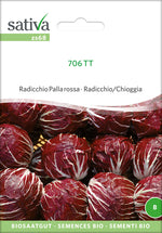 BIO Saatgut Radicchio Palla rossa 706 TT