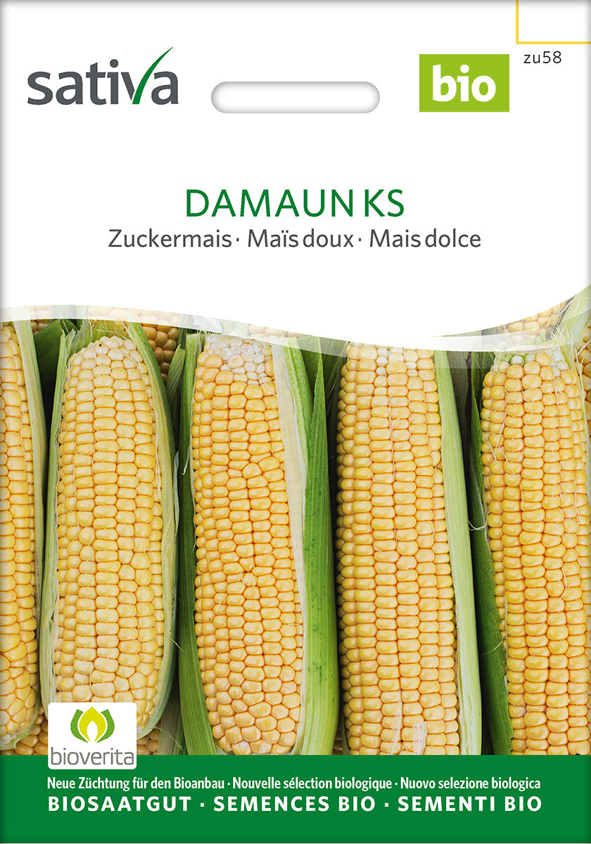 BIO Saatgut Zuckermais Damaun KS
