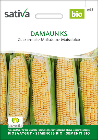 BIO Saatgut Zuckermais Damaun KS