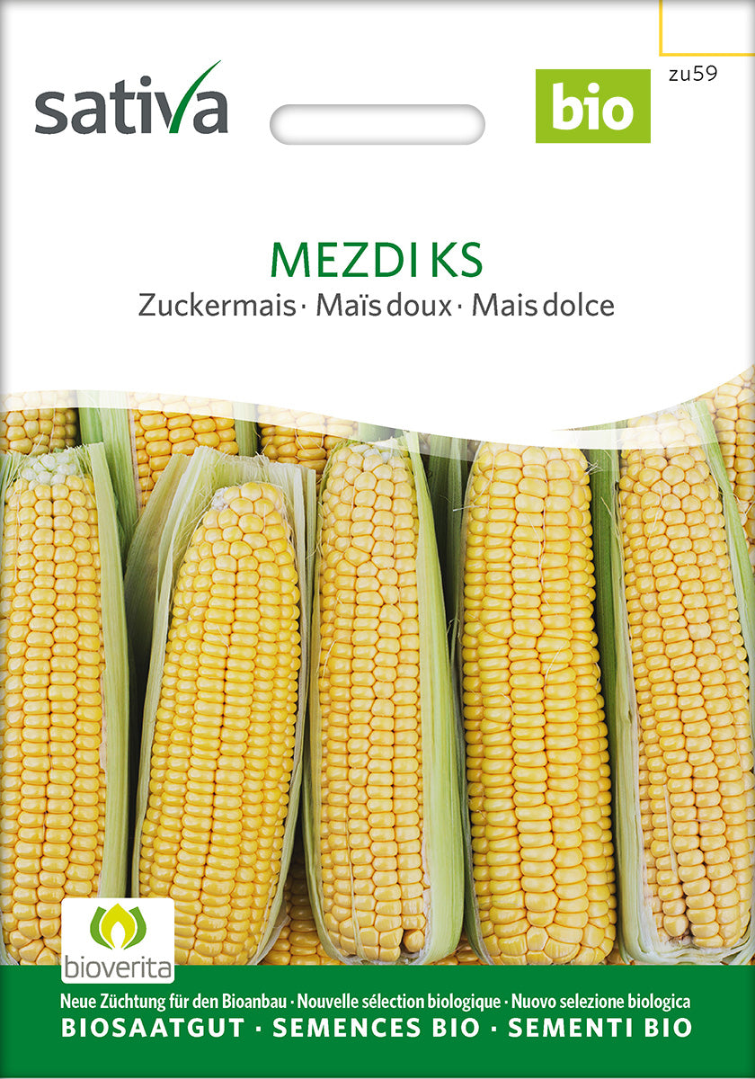 BIO Saatgut Zuckermais Mezdi KS – Biogartenladen