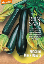 BIO Saatgut Zucchini Black Beauty