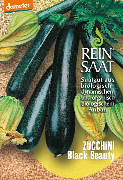 BIO Saatgut Zucchini Black Beauty
